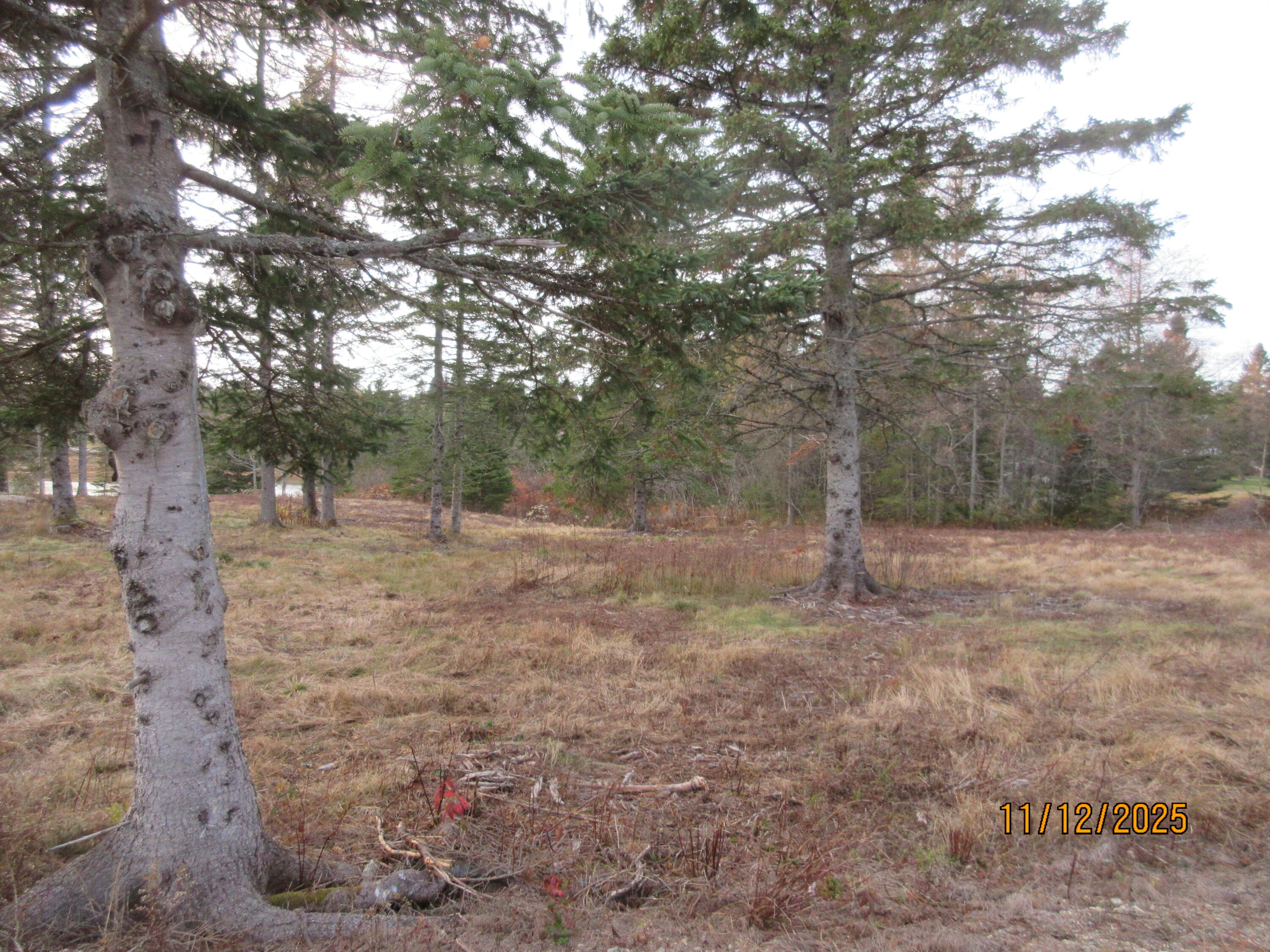 Lot 2 Smalls Point Road Machiasport, ME 04655 - Photo 2 of 4 Property