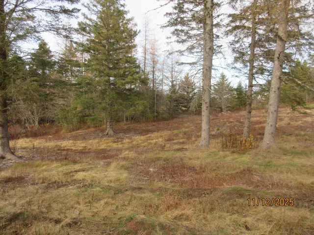 $79,000 | Lot 2 Smalls Point Road, Machiasport, ME 04655