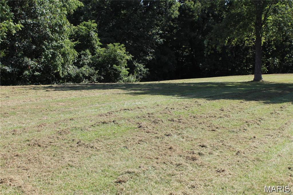 16677 Oak Bridge Road Brighton, IL 62012 - Photo 2 of 2