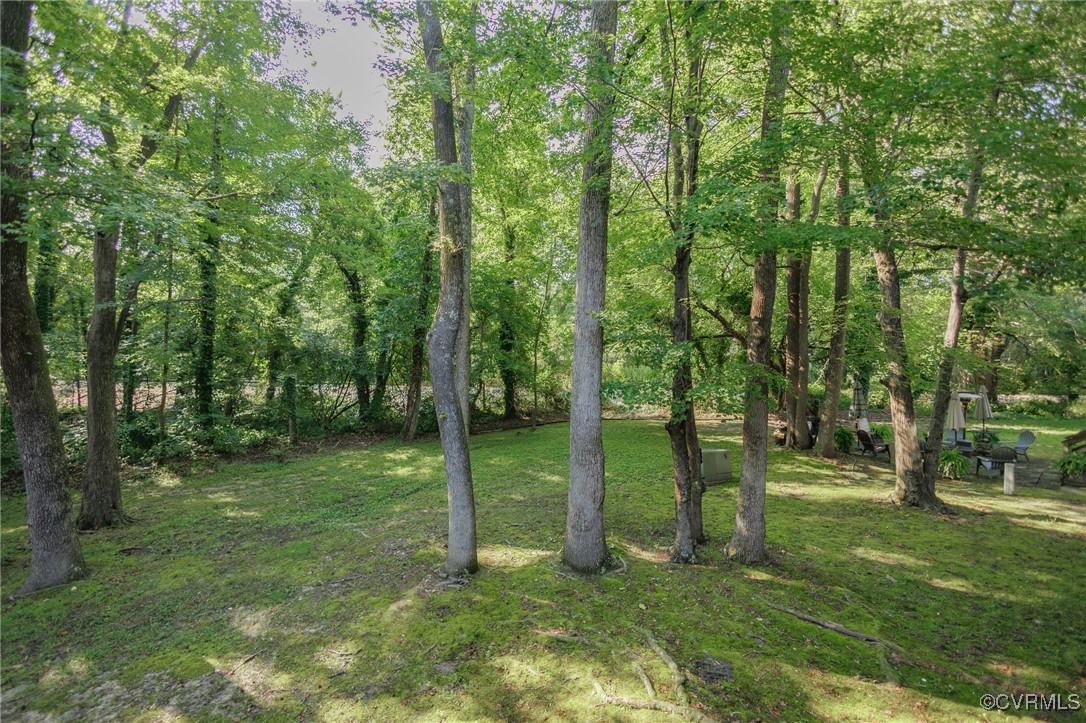 11808 North Briar Patch Drive Midlothian, VA 23113 - Photo 39 of 42 a view of a park