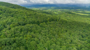 Henson Gap Road Dunlap, TN 37327 - Photo 11 of 21 20210826183029545420000000