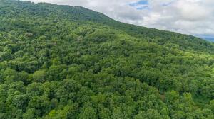 Henson Gap Road Dunlap, TN 37327 - Photo 13 of 21 20210826183035619286000000