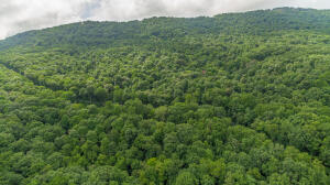 Henson Gap Road Dunlap, TN 37327 - Photo 14 of 21 20210826183038876788000000