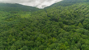 Henson Gap Road Dunlap, TN 37327 - Photo 15 of 21 20210826183041159240000000