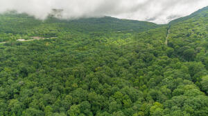 Henson Gap Road Dunlap, TN 37327 - Photo 16 of 21 20210826183042968804000000