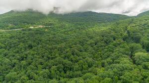 Henson Gap Road Dunlap, TN 37327 - Photo 17 of 21 20210826183045010255000000