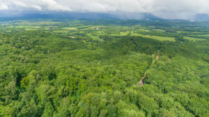 Henson Gap Road Dunlap, TN 37327 - Photo 18 of 21 20210826183046824957000000
