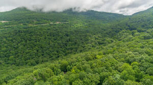 Henson Gap Road Dunlap, TN 37327 - Photo 3 of 21 20210826183004334656000000