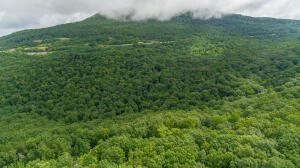 Henson Gap Road Dunlap, TN 37327 - Photo 4 of 21 20210826183006295978000000