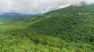Henson Gap Road Dunlap, TN 37327 - Photo 6 of 21 20210826183012377975000000