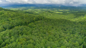 Henson Gap Road Dunlap, TN 37327 - Photo 10 of 21 20210826183026041122000000