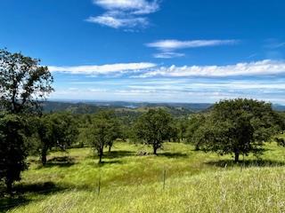 15169 Moccasin Ranch Road Coulterville, CA 95311 - Photo 13 of 15 a view of an ocean and a yard