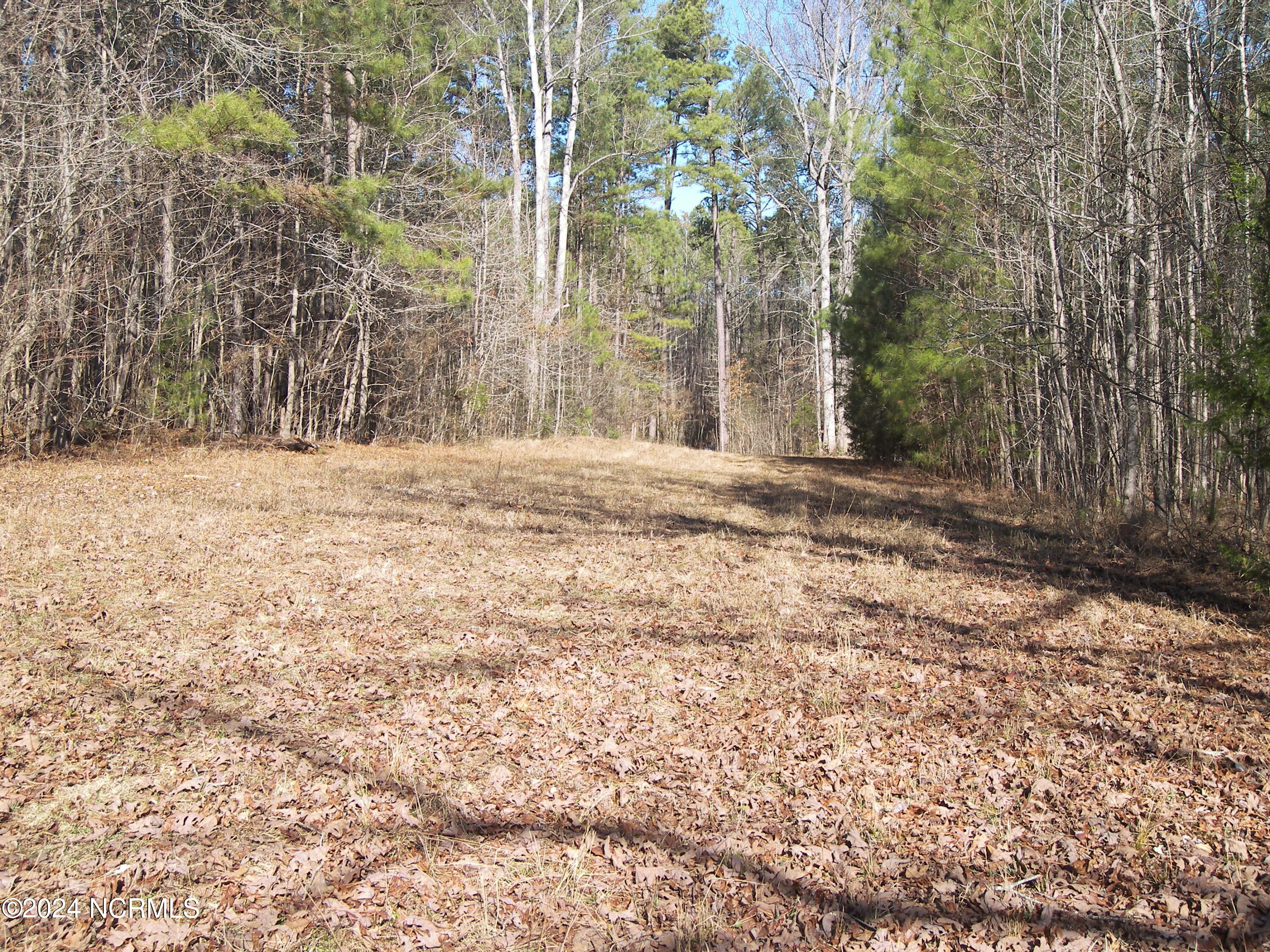 0 Seven Paths Road Spring Hope, NC 27882 - Photo 1 of 7 100_8020