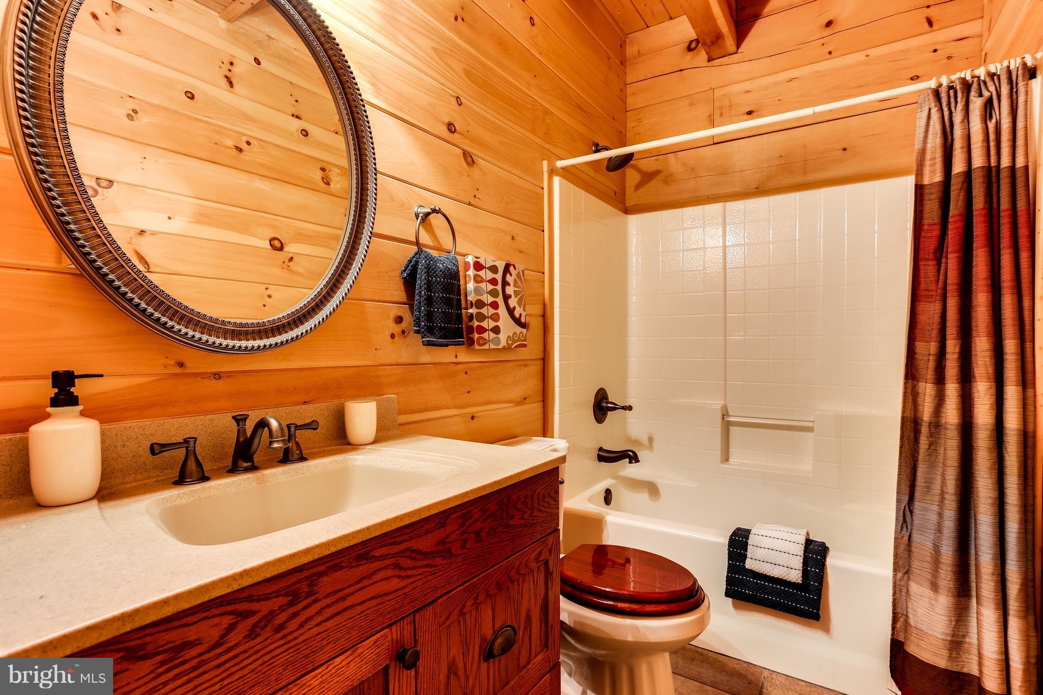 12002 Gambrill Park Road Frederick, MD 21702 - Photo 10 of 27 a bathroom with a sink and a mirror