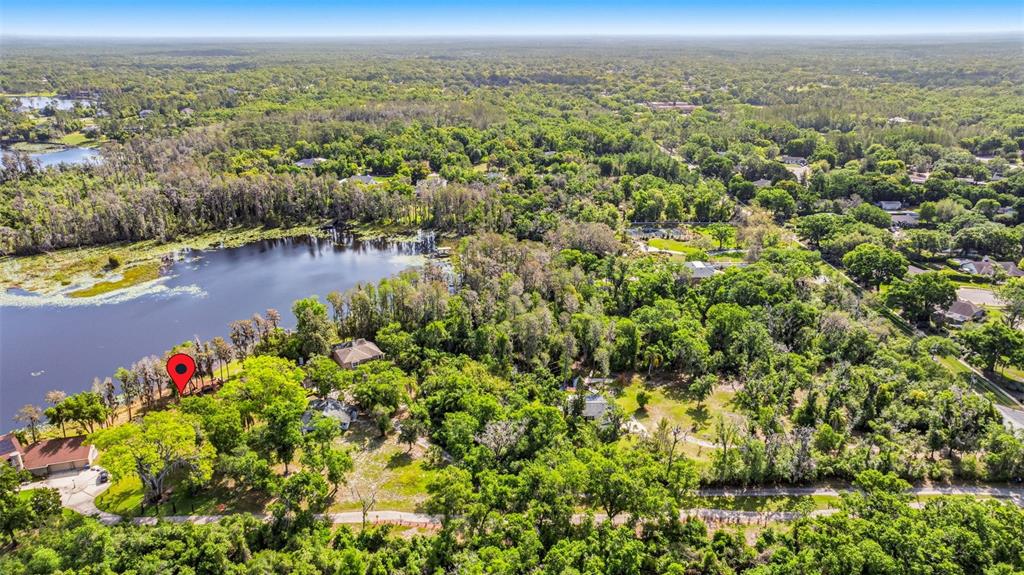 Debuel Road Lutz, FL 33549 - Photo 10 of 20 Gallery Image 10