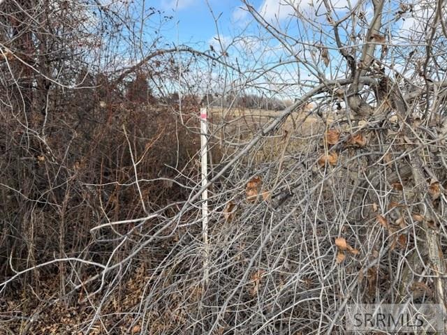 Lot 24 North 545 Street Rigby, ID 83442 - Photo 12 of 24