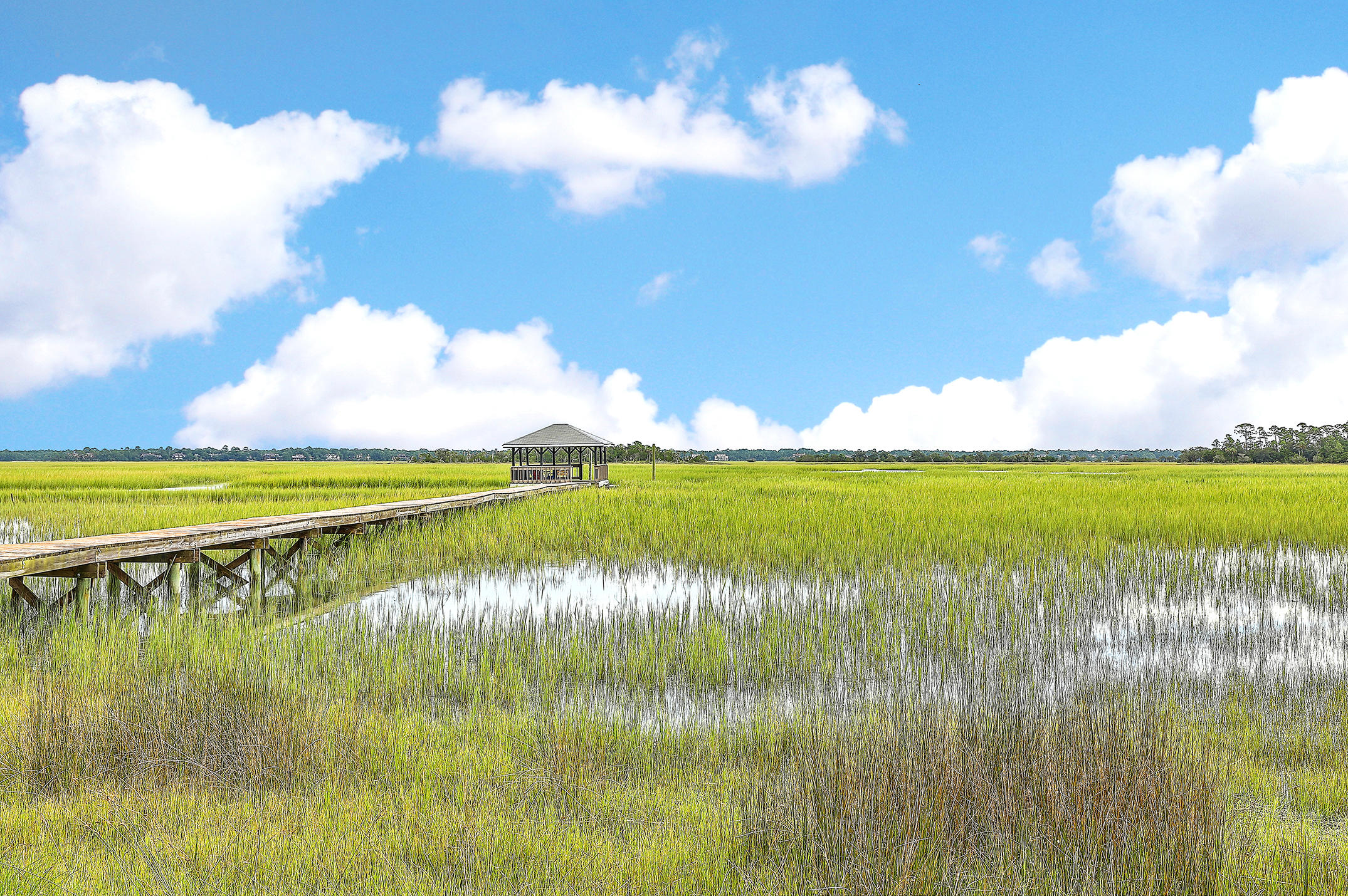 2502 Birds Key Road Johns Island, SC 29455 - Photo 7 of 25 1R3A0920_1_2_3_4_5_6
