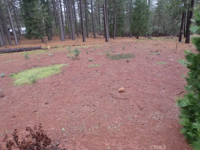 a backyard of a house with lots of green space and trees
