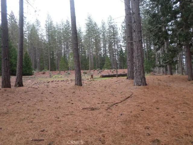 a view of outdoor space with trees