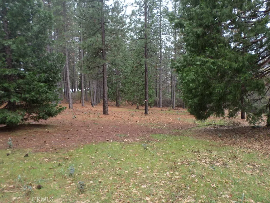 0 Mendocino Way Chico, CA 95973 - Photo 13 of 22 a view of outdoor space with trees