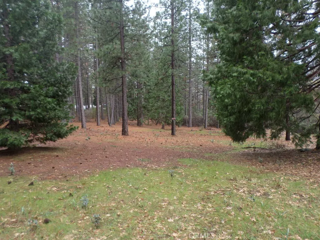 0 Mendocino Way Chico, CA 95973 - Photo 13 of 22 a view of outdoor space with trees
