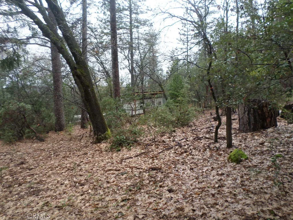 0 Mendocino Way Chico, CA 95973 - Photo 14 of 22 a view of a forest filled with trees
