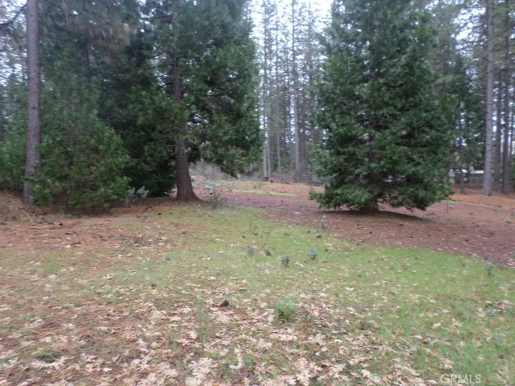 0 Mendocino Way Chico, CA 95973 - Photo 17 of 22 a view of a yard with large trees