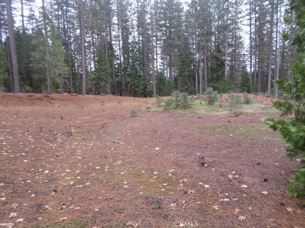 0 Mendocino Way Chico, CA 95973 - Photo 18 of 22 a view of a backyard with trees