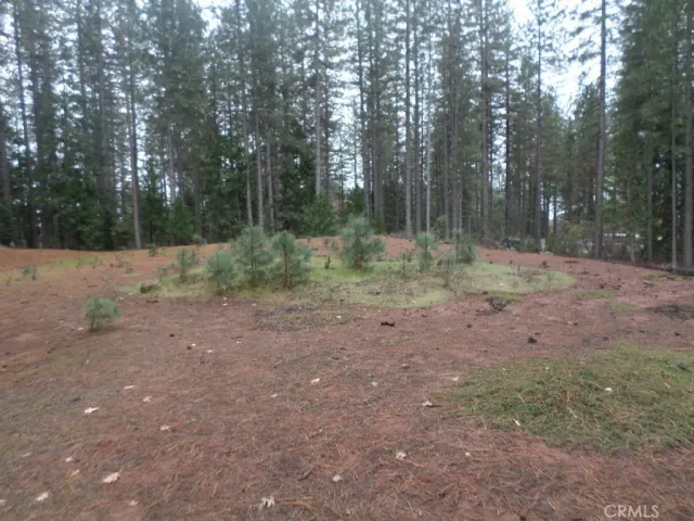 a view of outdoor space with trees
