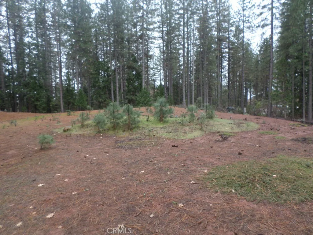 0 Mendocino Way Chico, CA 95973 - Photo 19 of 22 a view of outdoor space with trees