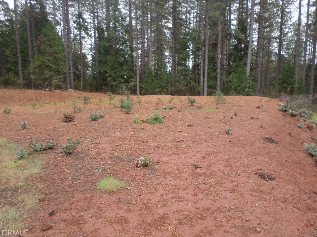 0 Mendocino Way Chico, CA 95973 - Photo 2 of 22