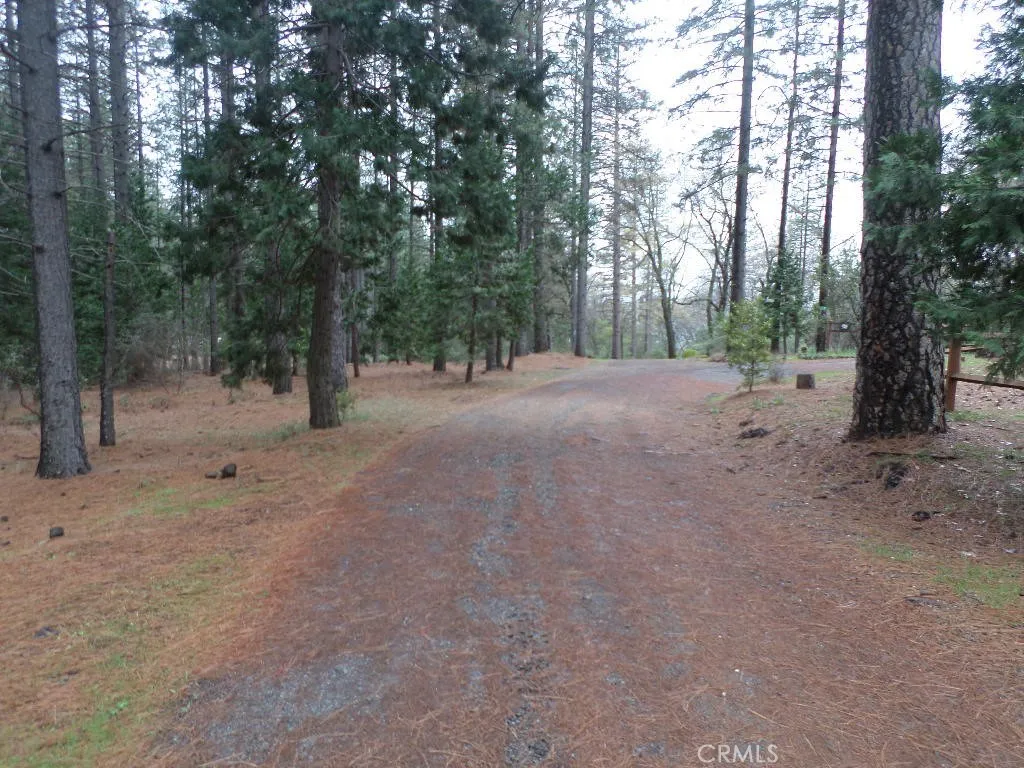 0 Mendocino Way Chico, CA 95973 - Photo 21 of 22 a view of a forest with trees in the background