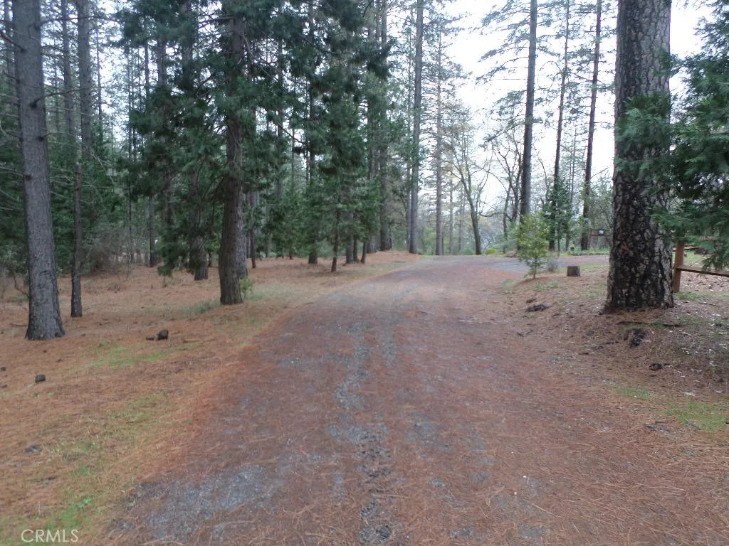0 Mendocino Way Chico, CA 95973 - Photo 21 of 22 a view of a forest with trees in the background