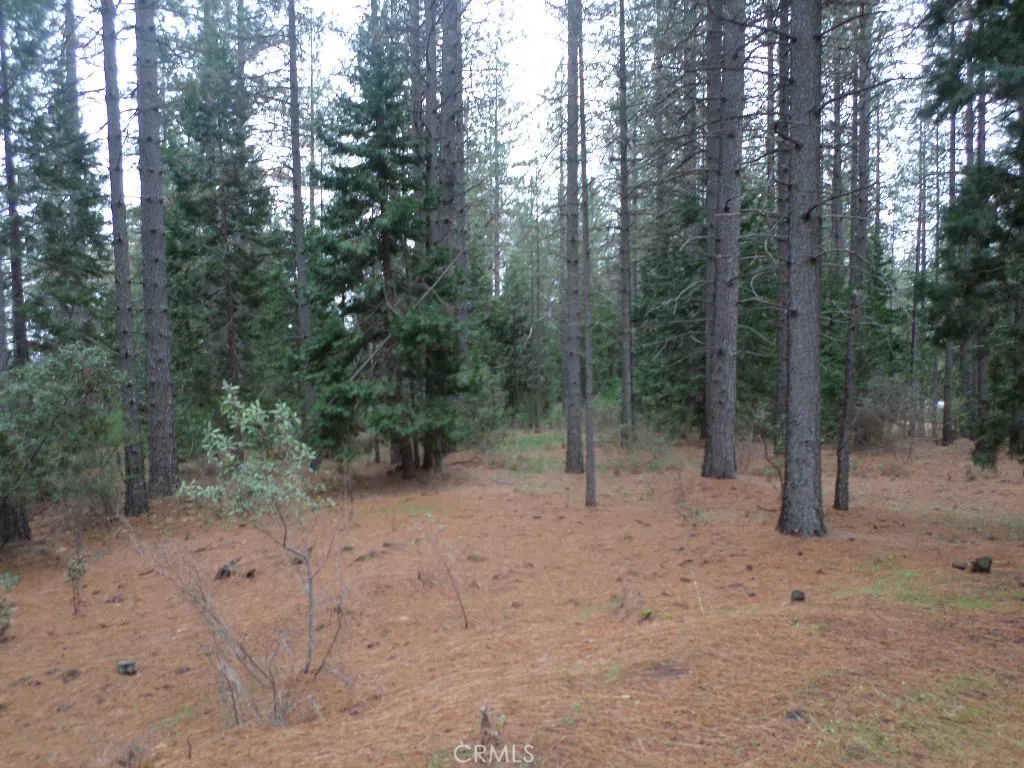0 Mendocino Way Chico, CA 95973 - Photo 22 of 22 a view of a forest with trees in the background