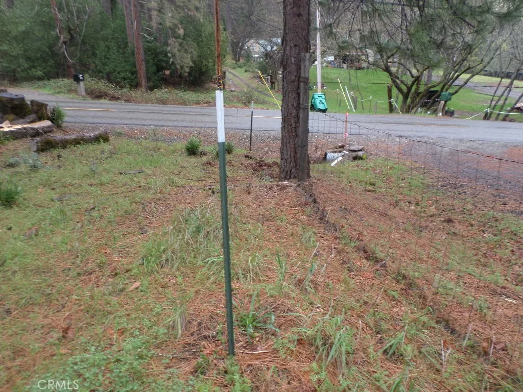 0 Mendocino Way Chico, CA 95973 - Photo 3 of 22 a view of a yard with a tree