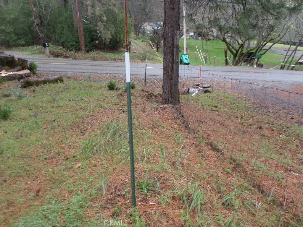 0 Mendocino Way Chico, CA 95973 - Photo 3 of 22 a view of a yard with a tree
