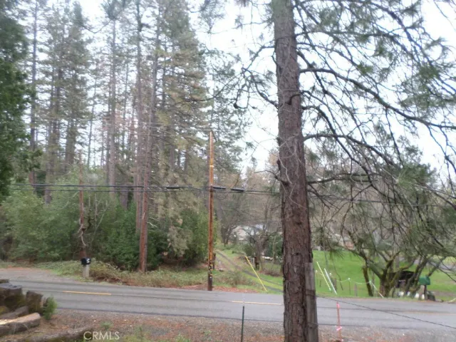 a view of a backyard with trees