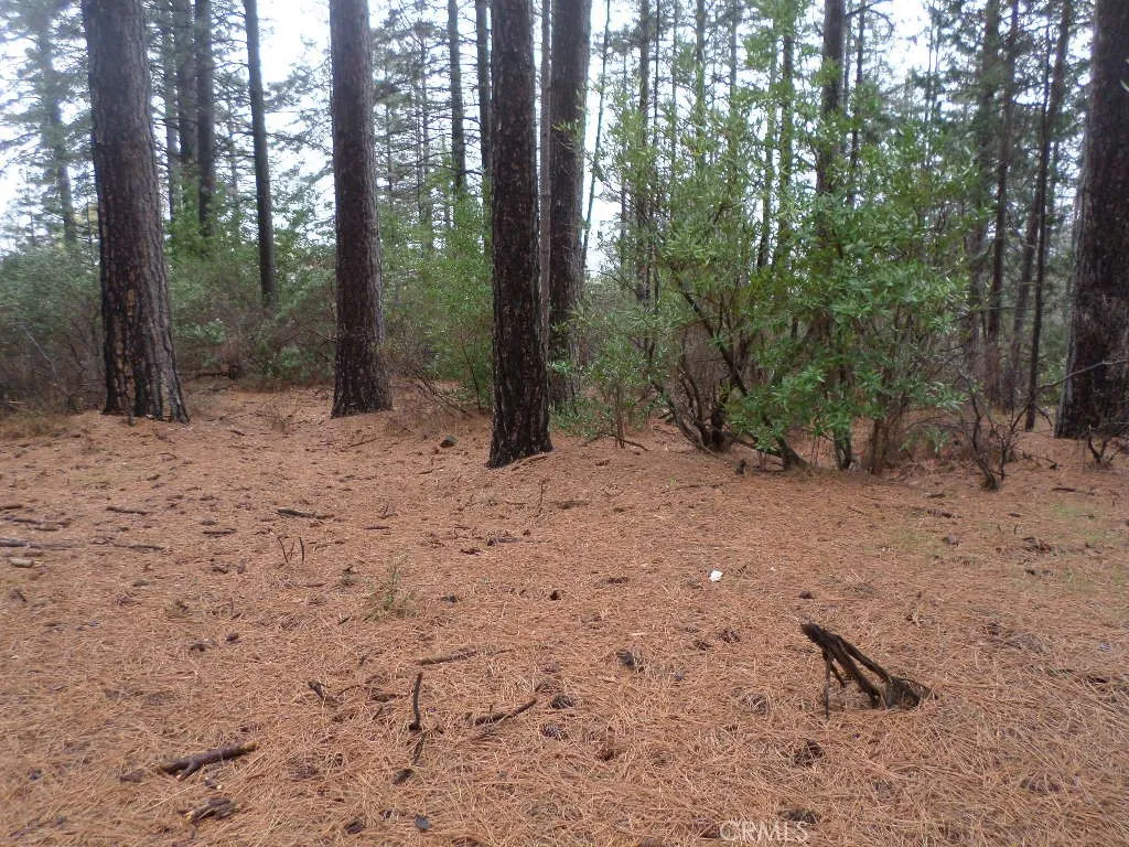 0 Mendocino Way Chico, CA 95973 - Photo 7 of 22 a view of a forest with trees in the background
