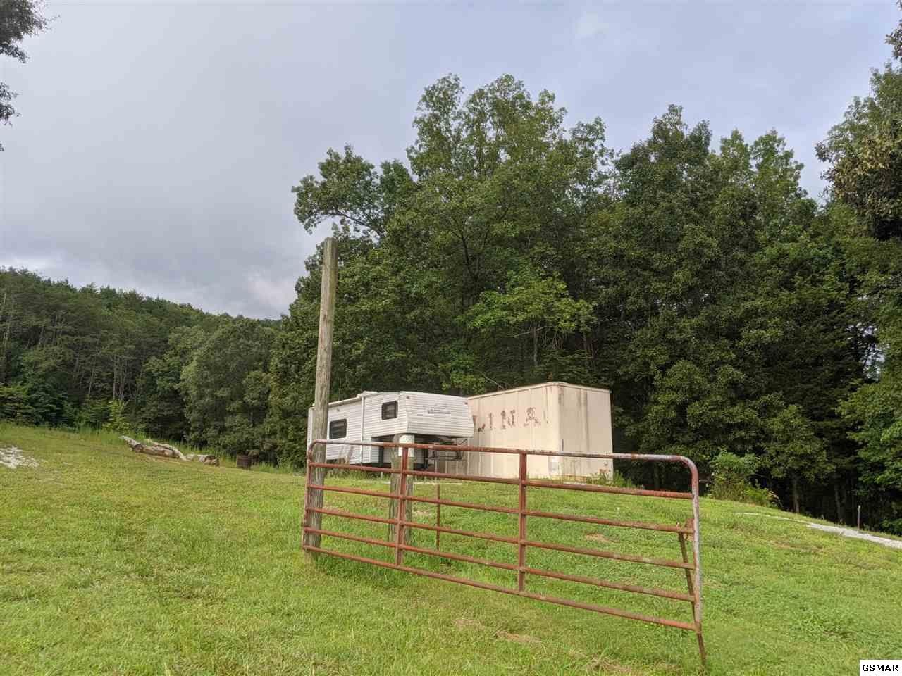 0 Blue Springs Road Strawberry Plains, TN 37871 - Photo 4 of 31 Gallery Image 4