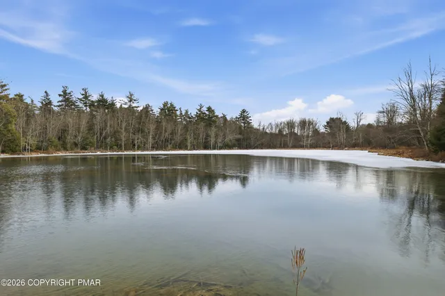 a view of outdoor space with trees