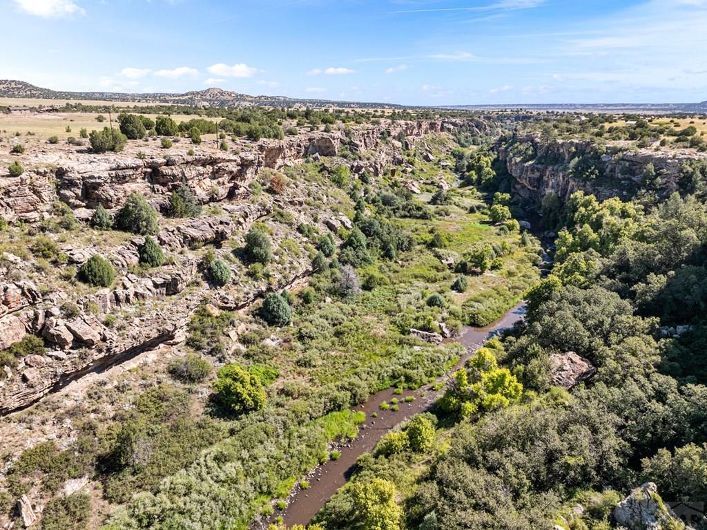 7015 South Burnt Mill Road Beulah, CO 81023 - Photo 41 of 55 Gallery Image 41