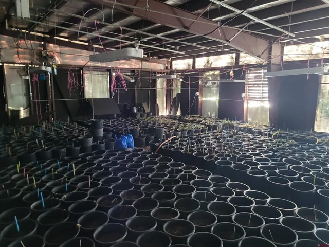 $250,000 | 17505 County Road 52, Saguache, CO 81149