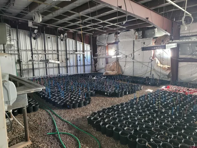 $250,000 | 17505 County Road 52, Saguache, CO 81149