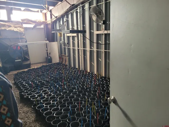 $250,000 | 17505 County Road 52, Saguache, CO 81149