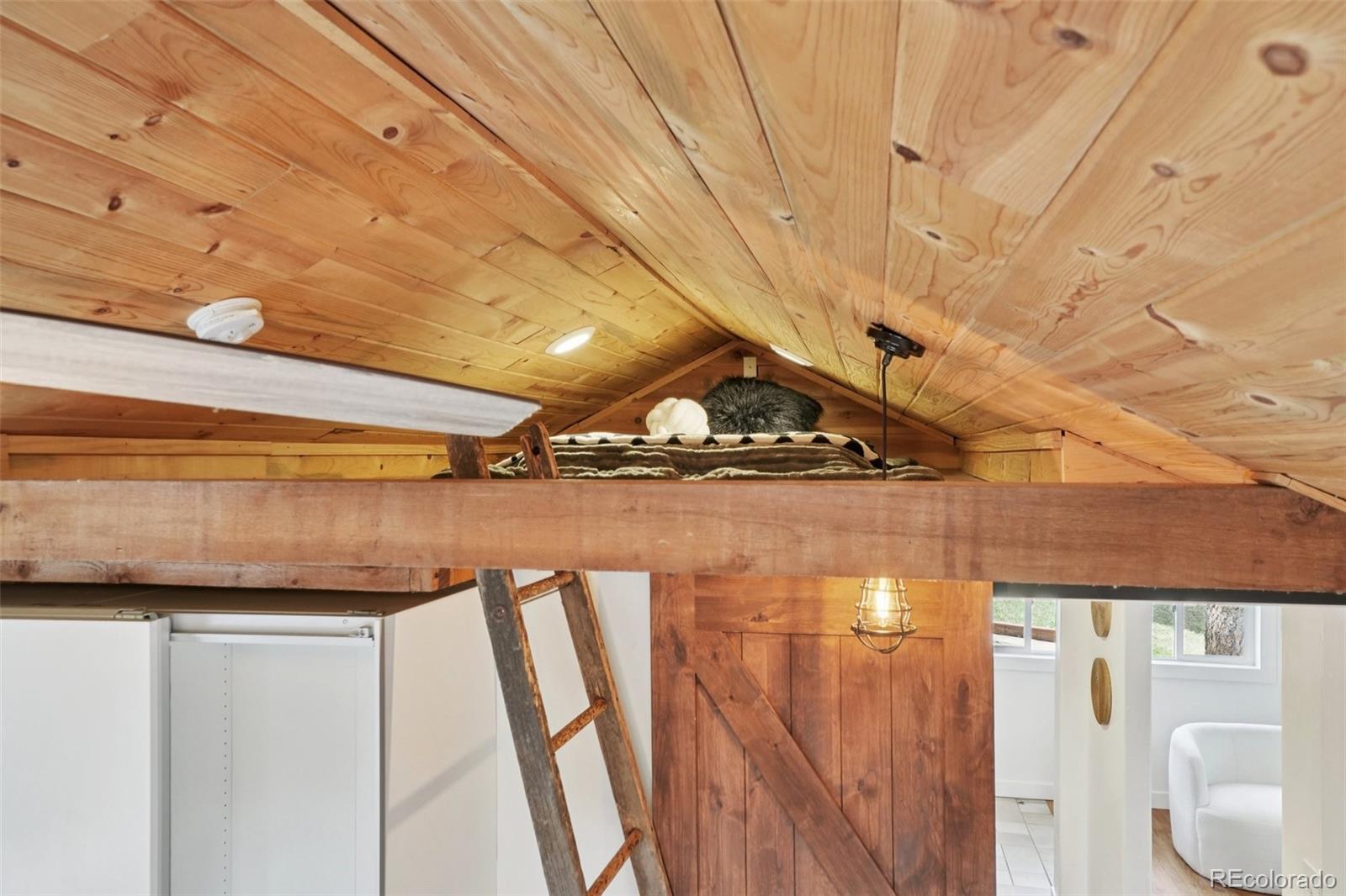 29772 Spruce Road Evergreen, CO 80439 - Photo 22 of 40