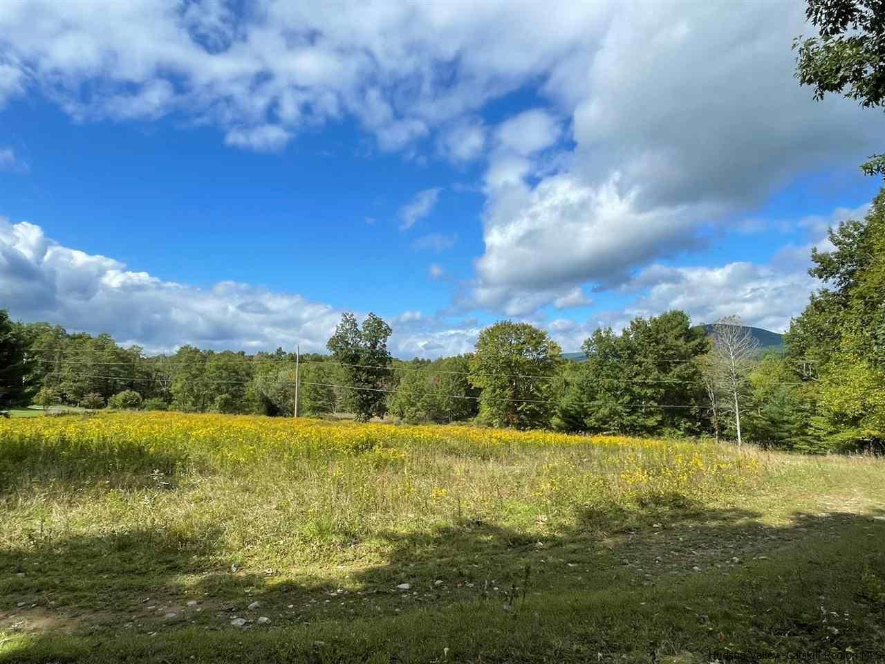 Tbd Upper Sahler Mill Road Olivebridge, NY 12461 - Photo 3 of 10 Photo 3