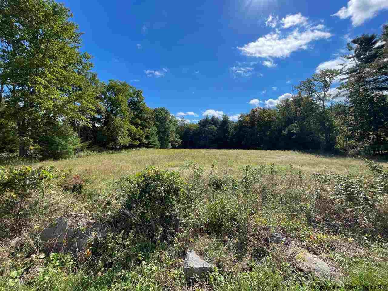Tbd Upper Sahler Mill Road Olivebridge, NY 12461 - Photo 4 of 10 Photo 4