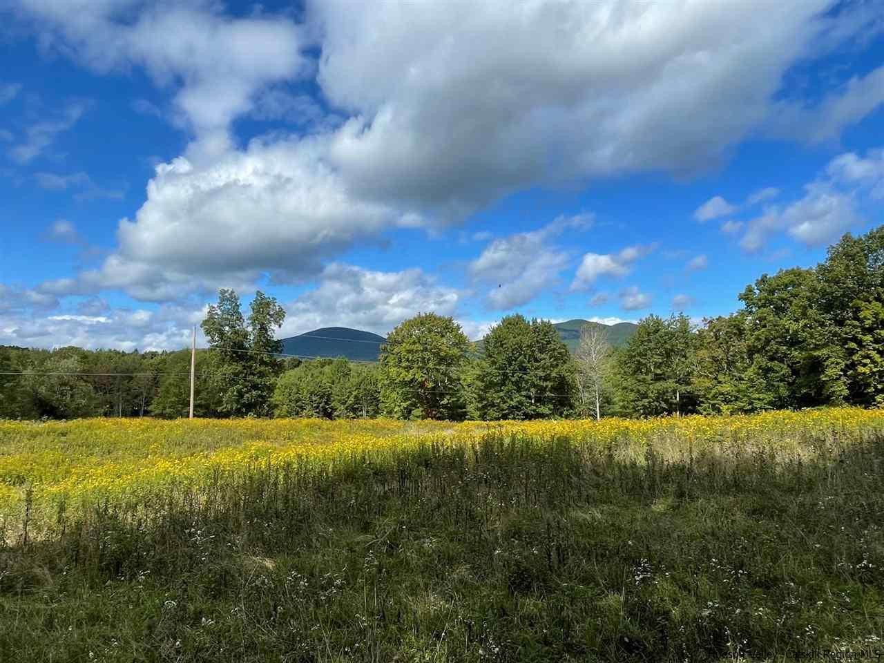 Tbd Upper Sahler Mill Road Olivebridge, NY 12461 - Photo 5 of 10 Photo 5