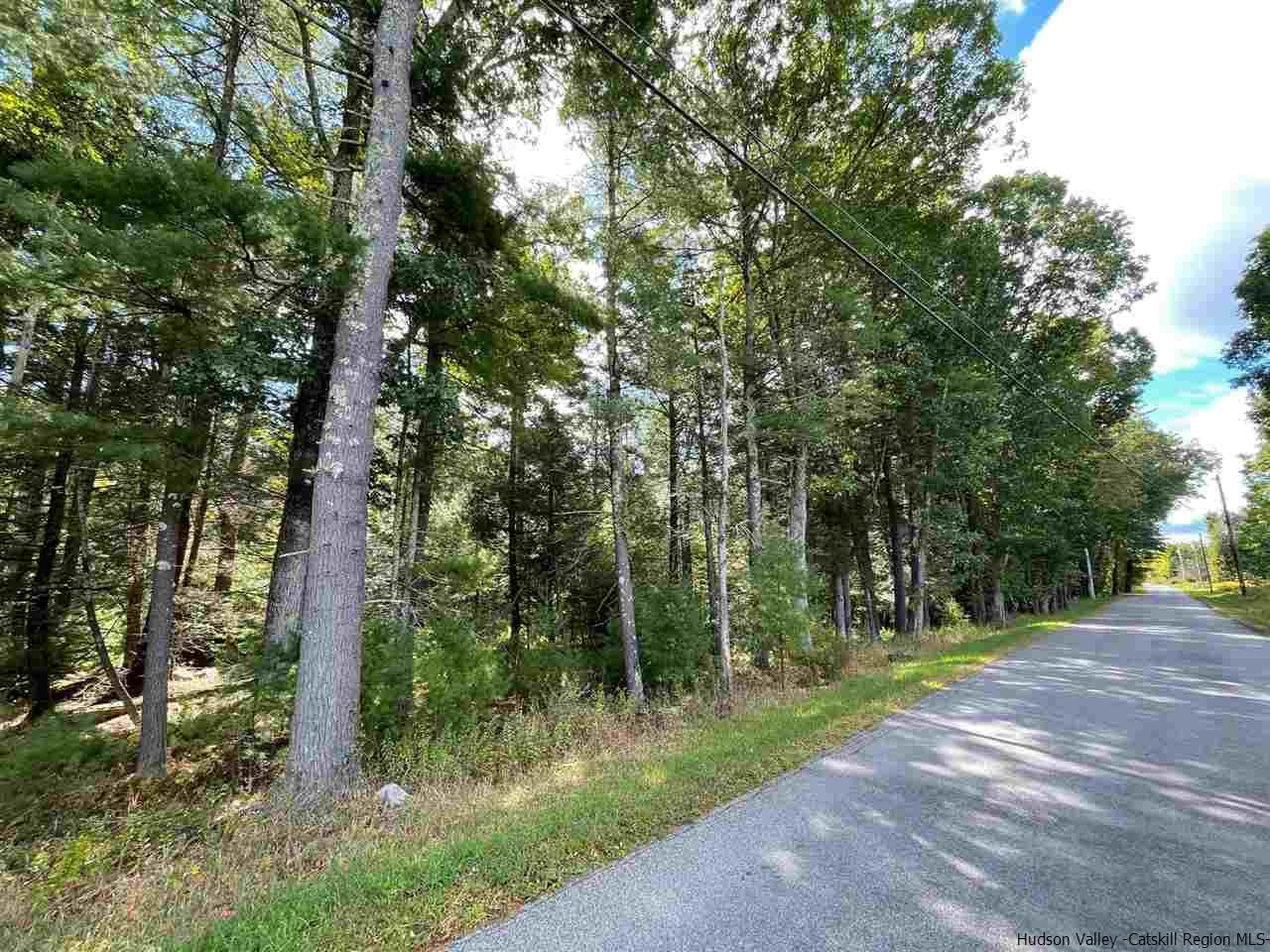 Tbd Upper Sahler Mill Road Olivebridge, NY 12461 - Photo 6 of 10 Photo 6