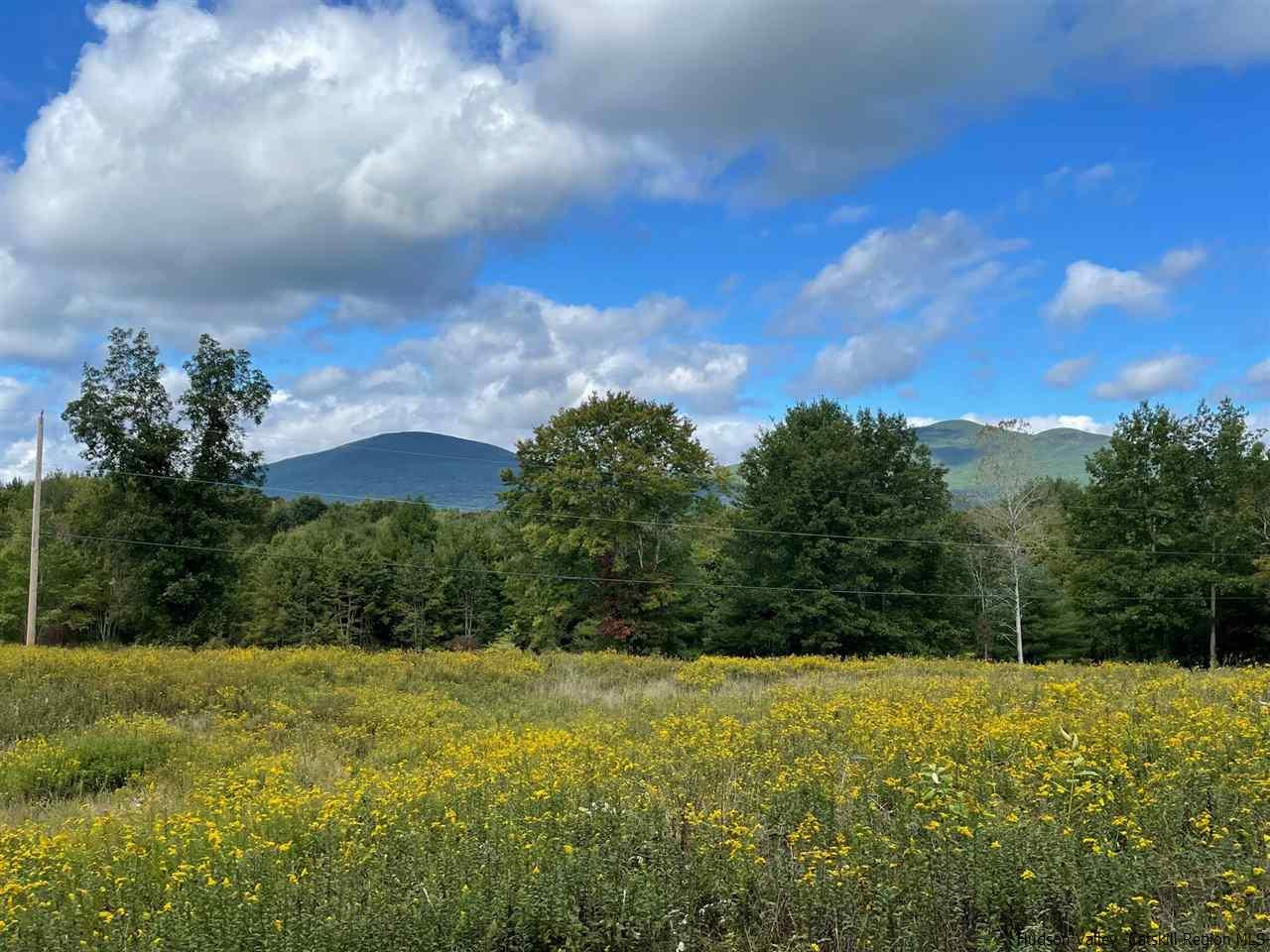 Tbd Upper Sahler Mill Road Olivebridge, NY 12461 - Photo 7 of 10 Photo 7